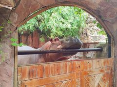 -长鹿旅游休博园