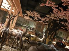 -蓝鲸湾汤泉(包河店)