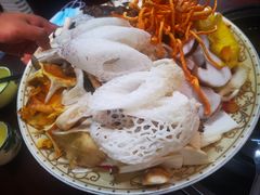 -菌之家·专业纯野生菌火锅·特色炒菌