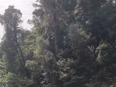 -乌鲁淡布隆国家公园