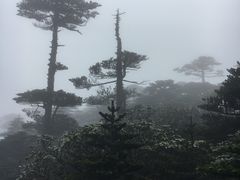 -苍山感通索道