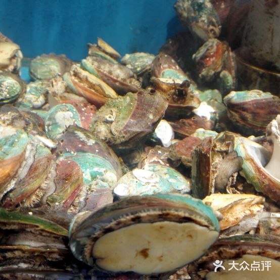 鲅鱼圈海鲜菜馆