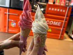 -萨朗刀克冰淇淋雪花凉(植物园店)