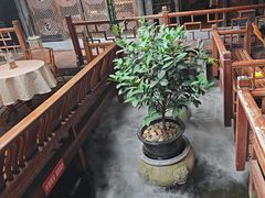-三只耳火锅(宽窄巷子店)