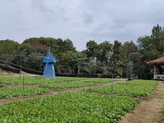 -广州市流溪河国家森林公园