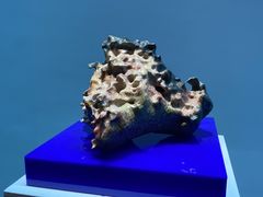 -杭州工艺美术博物馆