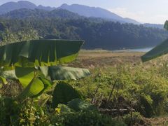 -孔雀湖生态旅游区