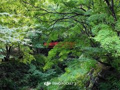 -三千院