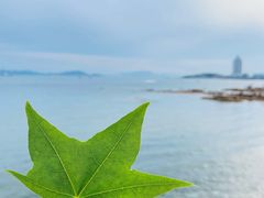 -青岛第一海水浴场