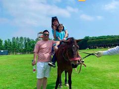 -武汉紫薇都市田园