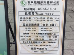 -西双版纳原始森林公园