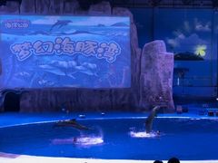 -华夏文旅海洋公园