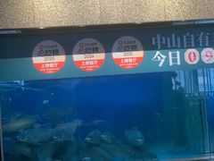 -淘米捞·米汤脆鲩鱼火锅(福田皇岗店)