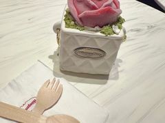 -哈根达斯(青岛海信店)