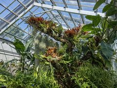 -国家植物园南园