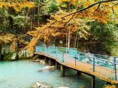 -四明山国家森林公园