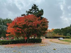 -太阳岛度假酒店