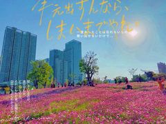 -香蜜公园