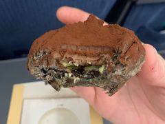 脏脏蛋挞-好利来(七宝领展广场店)