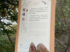 -北京鹫峰国家森林公园