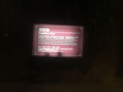 -森波拉火山温泉