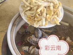 -东巴谷野生菌火锅餐厅