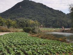 -广州市石门国家森林公园