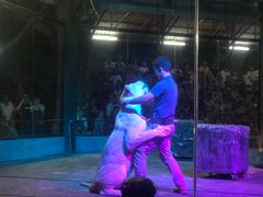 -清迈夜间动物园