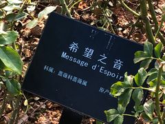 -立新湖公园