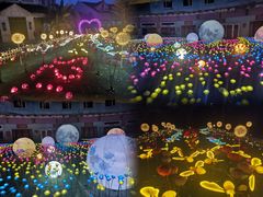 -海合安武汉极地海洋公园