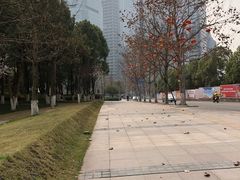 -重庆市江北嘴中央商务区中央公园