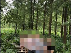 -重庆彩云湖湿地公园