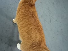 -蓝天射箭馆·专业射箭运动(诚丰广场店)