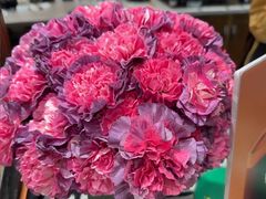 -小西家作•精致蛋糕(富力爱丁堡店)