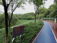-滨河世纪广场公园