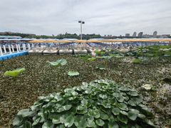 -长春市南湖公园