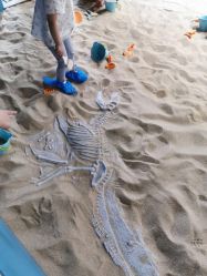 -恐龙探索乐园(磁器口店)