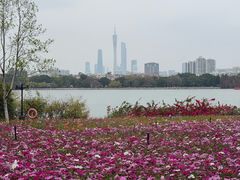 -海珠湖公园