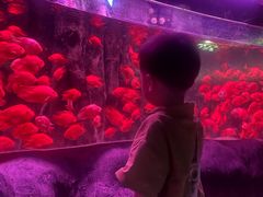 -左海海底世界