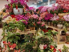 -双季花艺园艺市场(浦东店)