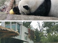 -北京海洋馆