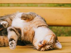 -苏州河梦清园环保主题公园