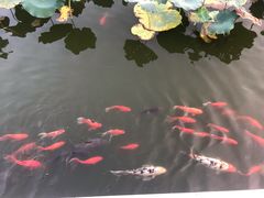 -西海子公园