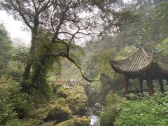 -峨眉山风景名胜区