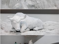 -中国湿地博物馆