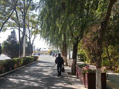 -张掖大佛寺景区