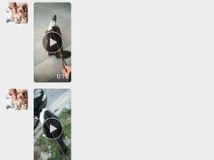 -喵汪宠物生活馆(涞坊路店)