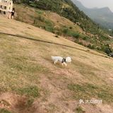 打卡济南牧牛山⛰️