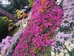-杭州植物园