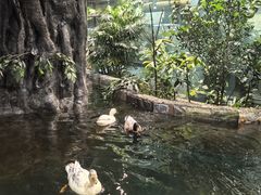 -上海大自然野生昆虫馆(东方明珠·爬宠昆虫探索中心)